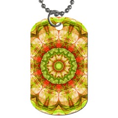 Red Green Apples Mandala Dog Tag (one Sided)