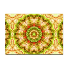 Red Green Apples Mandala A4 Sticker 10 Pack by Zandiepants