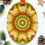 Red Green Apples Mandala Oval Ornament (Two Sides) Front