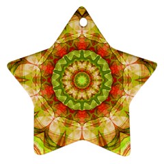 Red Green Apples Mandala Star Ornament (two Sides)