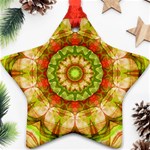 Red Green Apples Mandala Star Ornament (Two Sides) Back