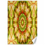 Red Green Apples Mandala Canvas 20  x 30  (Unframed) 19.62 x28.9  Canvas - 1