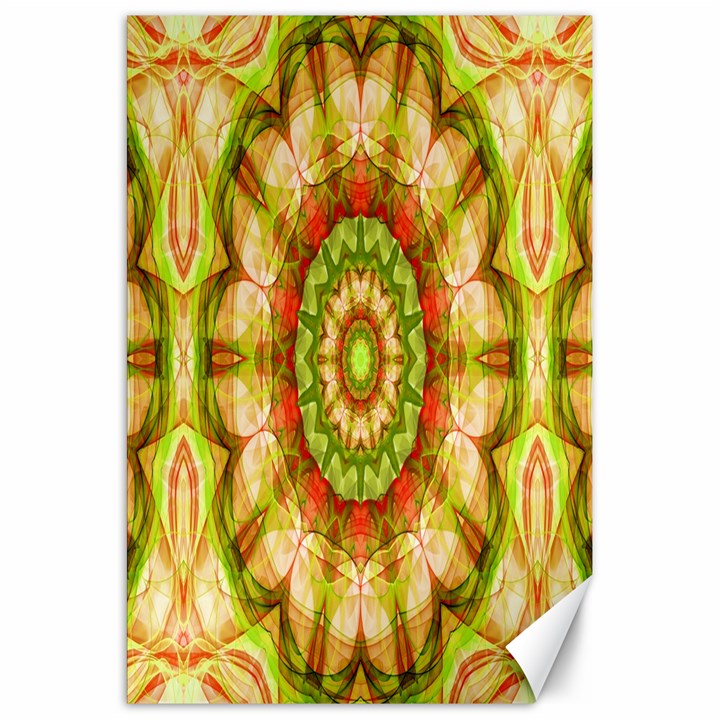 Red Green Apples Mandala Canvas 20  x 30  (Unframed)