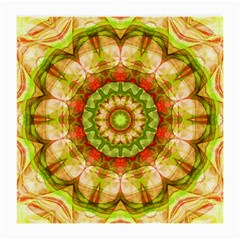 Red Green Apples Mandala Glasses Cloth (medium)