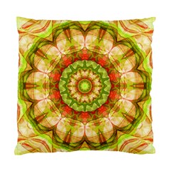 Red Green Apples Mandala Cushion Case (single Sided) 