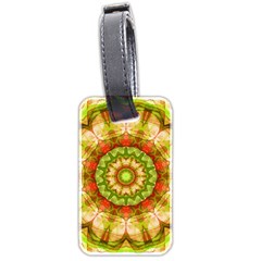 Red Green Apples Mandala Luggage Tag (two Sides) by Zandiepants