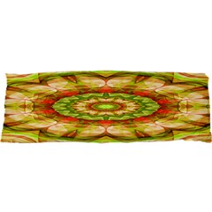 Red Green Apples Mandala Samsung S3350 Hardshell Case by Zandiepants