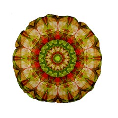 Red Green Apples Mandala 15  Premium Round Cushion 