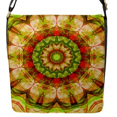 Red Green Apples Mandala Flap Closure Messenger Bag (small)