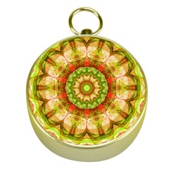 Red Green Apples Mandala Gold Compass