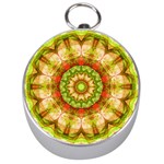 Red Green Apples Mandala Silver Compass Front