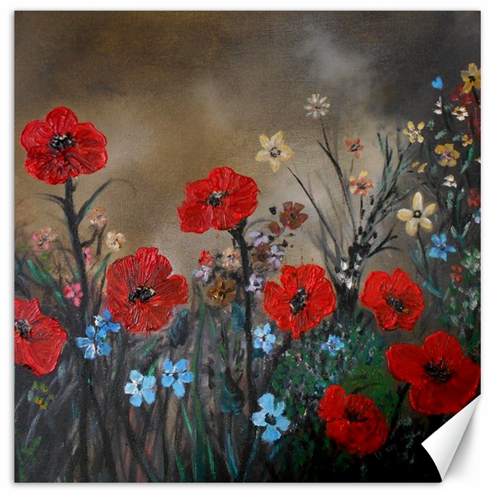 Poppy Garden Canvas 20  x 20  (Unframed)