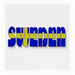 Flag Spells Sweden Glasses Cloth (Medium) Front