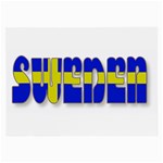 Flag Spells Sweden Glasses Cloth (Large, Two Sided) Front