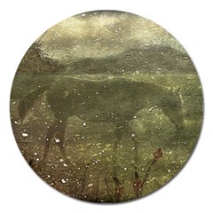 Flora And Fauna Dreamy Collage Magnet 5  (round) by dflcprints