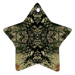 Winter Colors Collage Star Ornament by dflcprints