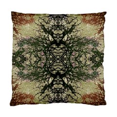 Winter Colors Collage Cushion Case (two Sided)  by dflcprints