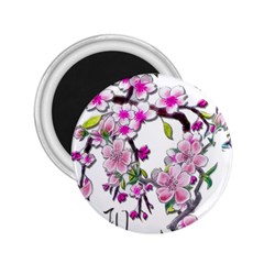 Cherry Bloom Spring 2 25  Button Magnet