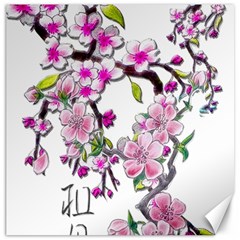 Cherry Bloom Spring Canvas 12  X 12  (unframed)