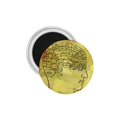 Brain Map 1 75  Button Magnet