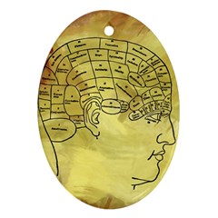 Brain Map Oval Ornament (two Sides) by StuffOrSomething