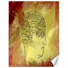 Brain Map Canvas 18  X 24  (unframed)