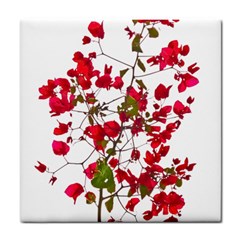 Red Petals Ceramic Tile