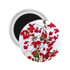 Red Petals 2 25  Button Magnet