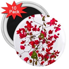 Red Petals 3  Button Magnet (10 Pack)