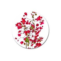 Red Petals Magnet 3  (round) by dflcprints