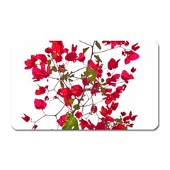 Red Petals Magnet (rectangular) by dflcprints