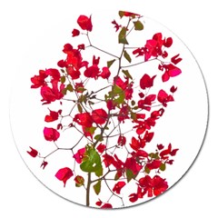 Red Petals Magnet 5  (round)