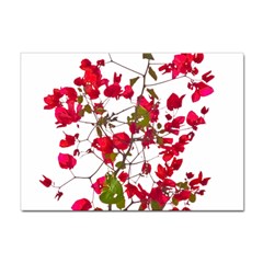 Red Petals A4 Sticker 100 Pack by dflcprints