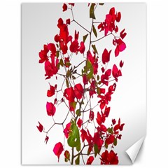 Red Petals Canvas 12  X 16  (unframed) by dflcprints