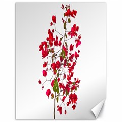 Red Petals Canvas 18  X 24  (unframed) by dflcprints