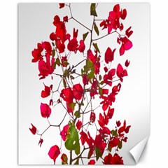 Red Petals Canvas 11  X 14  (unframed)