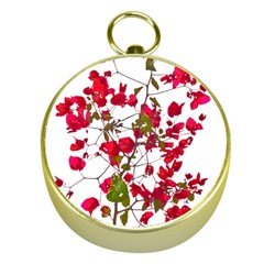 Red Petals Gold Compass by dflcprints