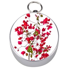 Red Petals Silver Compass by dflcprints