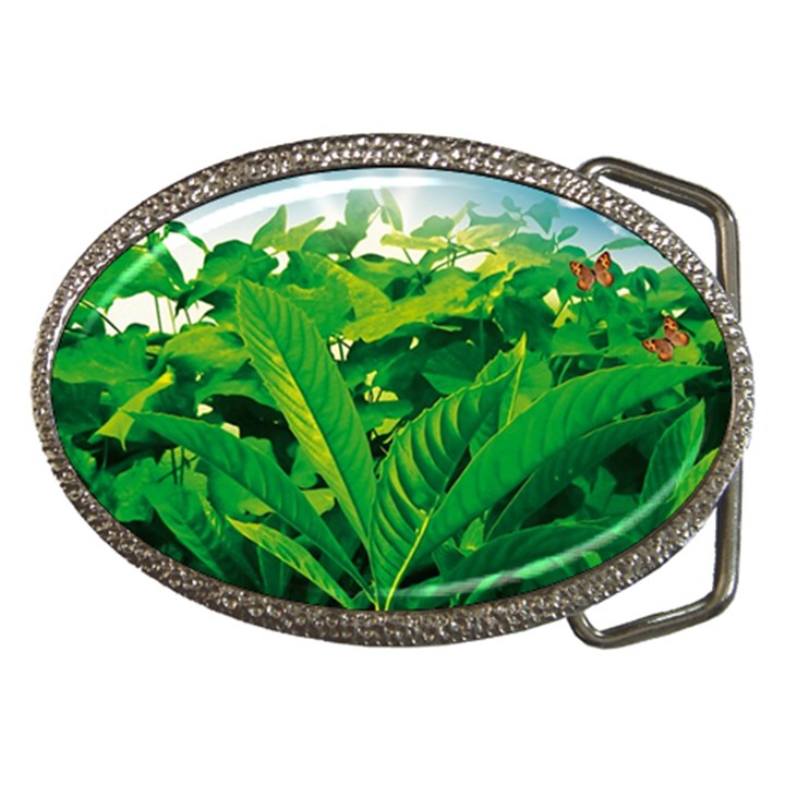 Nature Day Belt Buckle (Oval)