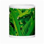 Nature Day Morph Mug Center