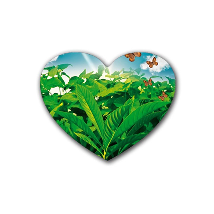 Nature Day Drink Coasters (Heart)