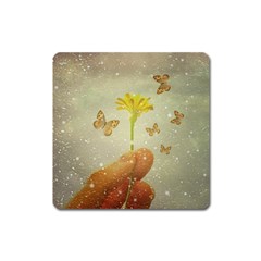 Butterflies Charmer Magnet (square) by dflcprints