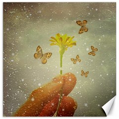 Butterflies Charmer Canvas 12  X 12  (unframed) by dflcprints