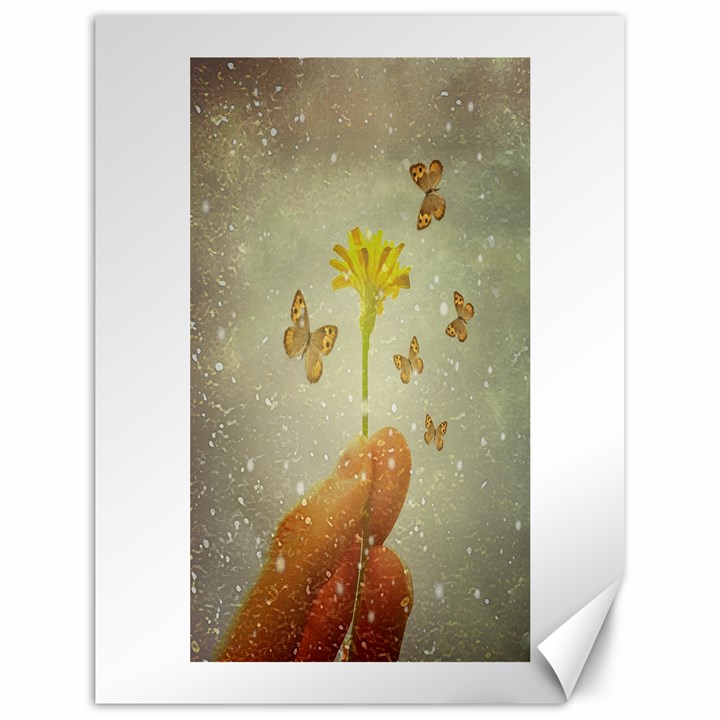 Butterflies Charmer Canvas 18  x 24  (Unframed)