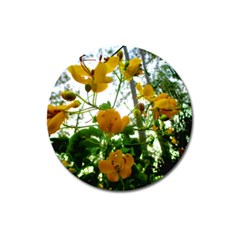 Yellow Flowers Magnet 3  (round)