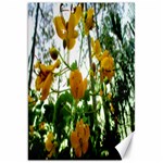 Yellow Flowers Canvas 20  x 30  (Unframed) 19.62 x28.9  Canvas - 1