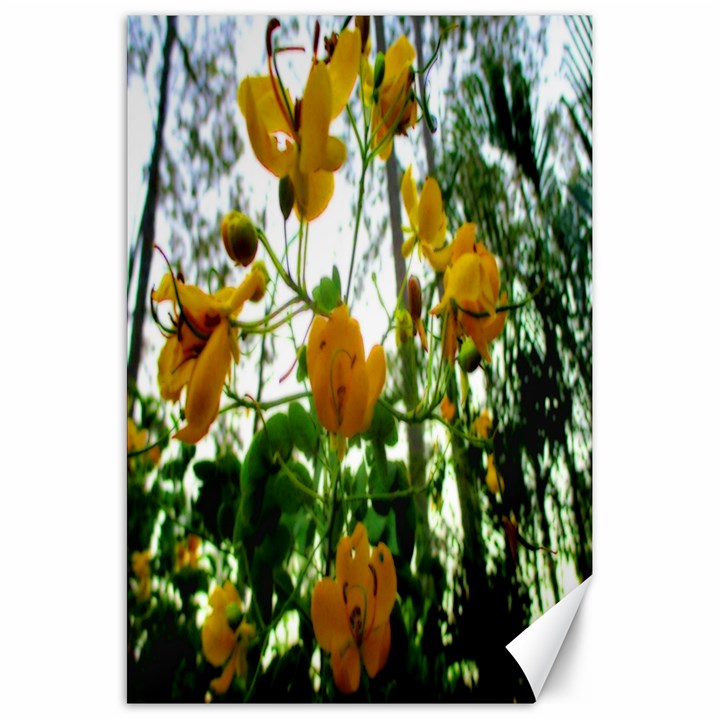 Yellow Flowers Canvas 20  x 30  (Unframed)