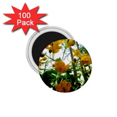 Yellow Flowers 1 75  Button Magnet (100 Pack)