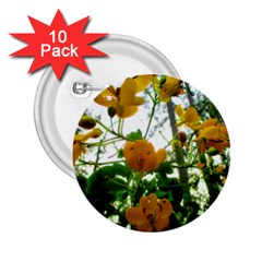 Yellow Flowers 2 25  Button (10 Pack)