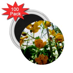 Yellow Flowers 2 25  Button Magnet (100 Pack) by SaraThePixelPixie